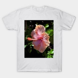 Hibiscus T-Shirt